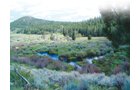 Property photo 27 - Get Lost in the Pristine Northern Colorado Rockies - Prime Building Sites